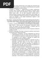 Documento Relatório Ketalim