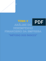 Tema V - Análise Do Desempenho Empresarial