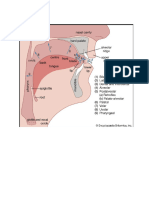 Reviewer 3 Articulatory Phonetics