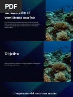 Introduccion Al Ecosistema Marino