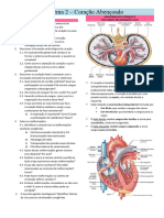 Problema 2 - Sistema Cardiovascular