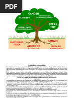 Enfermedades No Transmisibles 2024