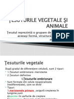 Tesuturile Vegetale