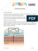 Potencial de Membrana