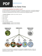 Dominios Clasificacion de Los Seres Vivos