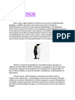 Pingüinos - Texto Expositivo