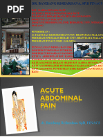 Acute Abdominal Pain Revisi