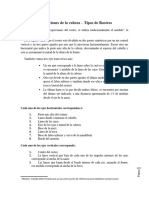 1 - M - Proporciones Del Rostro.