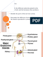 Endocrine System PTT Final