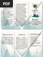 Triptico Proyecto