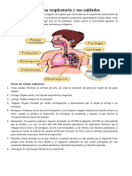 Ficha El Sistema Respiratorio y Sus Cuidados