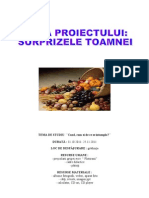 Proiect 2 - Zana Toamna