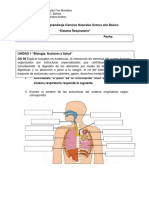 Guía de Aprendizaje Ciencias Naturales Octavo Año Básico Sistema Respiratorio