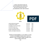 Laporan Kelompok & Individu PKM Dharma Praja 2022