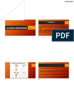 Sistema Endocrino