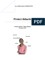 2proiect Didactic LLR