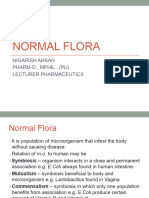 Normal Flora