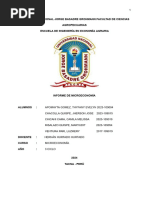 Informe de Microeconomia