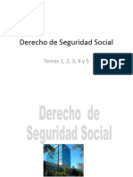 Derecho de Seguridad Social. Temas 1 Al 5