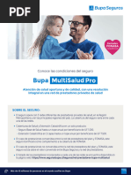 D - RESUMEN Bupa MultiSalud Pro