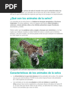 Animales de La Selva