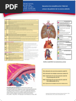 Iaslc - 8th - Posters - 24x36 - 2018 - Final - Version - 1 (2) .En - Es