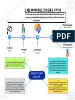 Blue and White Clean Minimalist Monotone Business Process Flow Chart