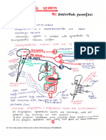 3 Cholinergic System - 0