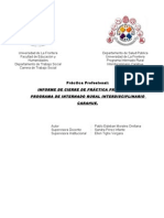 INFORME FINAL Práctica Profesional PIRI CARAHUE 2011