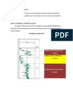 Registro de Pozos Petroleros