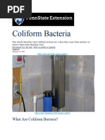 Coliform Bacteria