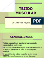 Clase 8 Tejido Muscular 1