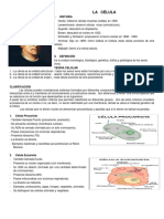 Biologia (Las Celulas)