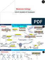 1-Eukaryotic Chromatin and Chromosome