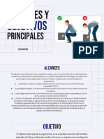 1.1.1 Alcances y Objetivos Principales