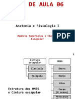 Anatomia - Membros Superiores e Cintura Escapular