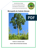 Monografia Cedrela Odorata 