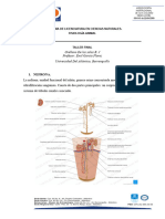 Taller Final Fisiología