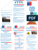 Triptico Procedimiento Incendio