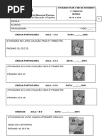 Apostila Da 2 Semana de Novembro