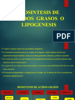 Biosintesis de Acidos Grasos y Eicosanoides Rocha 2do Parcial