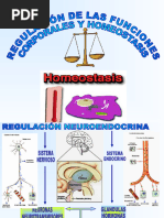 Homeostasis