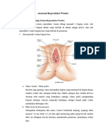 Anatomi Reproduksi Wanita