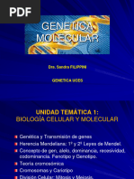 Biologia Molecular 1 Clase 09 08 22