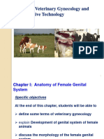 Chapter 1 Anatomy of Female Genital System