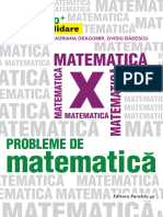 Editura Paralela 45 - Matematica - Liceal - cls-10 - Probleme de Matematica Pentru Clasa A X-A. Consolidare - Lucian Dragomir