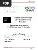 Rapport Du Stage Etude Des Instruments de Mesure Des Grandeurs Physiques