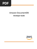 Aws Developer Guide