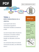 Bases Cromosomicas de La Genetica I