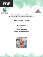 Portafolio de Evidencias Endocrinologia